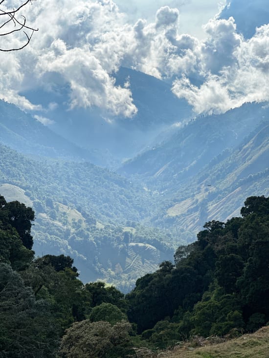 Costa Rica - Natural (250g) - Lot No. 111