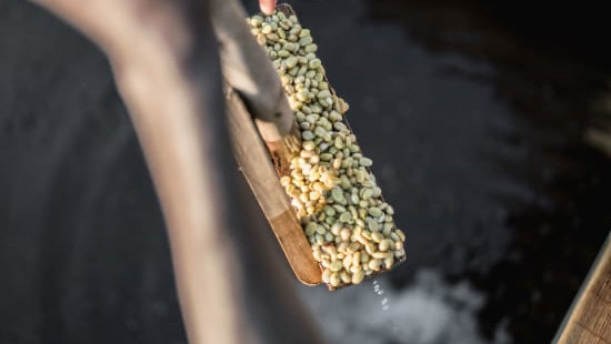 Ethiopia - Washed - Lot No. 128